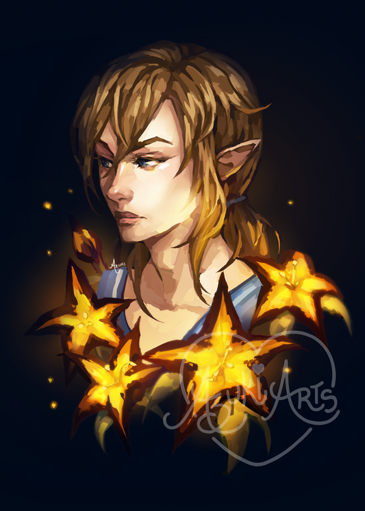 Link - Glossy Art Print